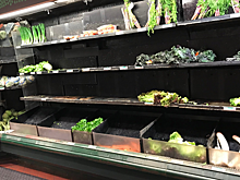 Ритейлеры столкнулись с дефицитом транспортных мощностей