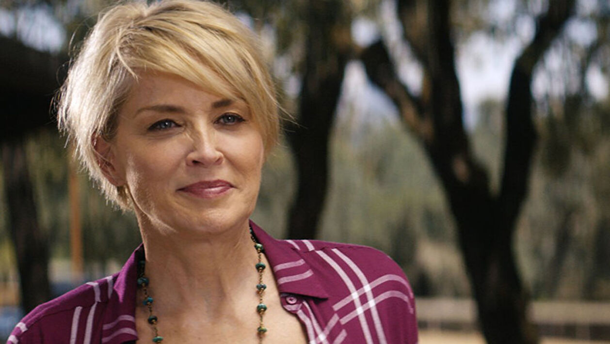 Шэрон стоун 2001. Шерон стоун сейчас фото 2022. Шэрон стоун 58 лет. Шэрон стоун актрисы сша. Шэрон стоун.