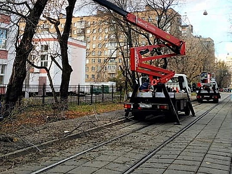 В Богородском вдоль трамвайных линий кронировали аварийные деревья