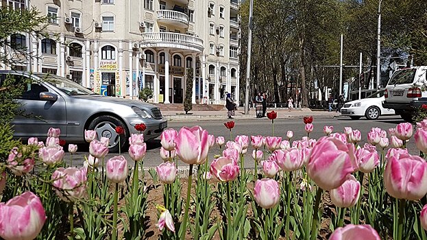 Дни российской культуры пройдут в Таджикистане в конце сентября