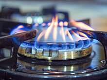Совет Федерации утвердил новый порядок проверки газового оборудования