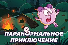 «Смешарики» в жанре триллер: смотрите первую вертикальную серию