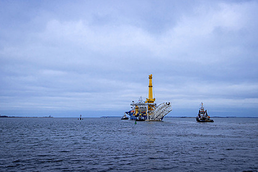 Спецслужбы Польши прояснили ситуацию с флотом в зоне «Северного потока-2»