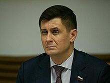 Сенатор Деньгин призвал подумать о новых механизмах страхования жизни