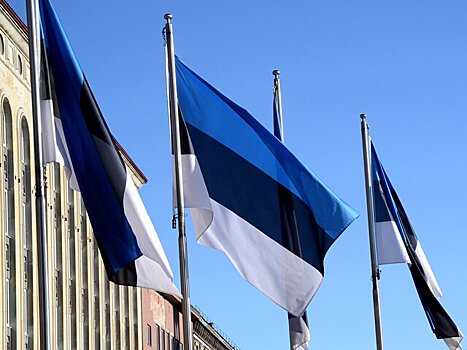 Политолог заявил, что из Эстонии могут начать выгонять граждан РФ