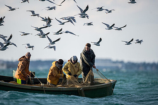 Россия и Норвегия продолжат работу в области рыболовства несмотря на санкции