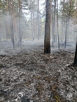 Пожароопасный сезон начнется раньше обычного