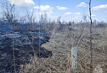 Новосибирские пожарные отстояли дачные участки от ландшафтного пожара