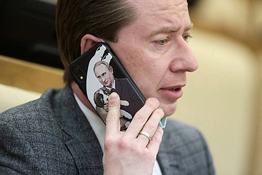 В Госдуме «разнесли» идею запрета кормления бездомных животных