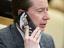 В Госдуме «разнесли» идею запрета кормления бездомных животных