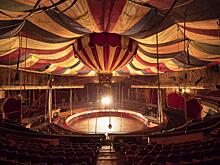 Фестиваль любительского циркового искусства «Под куполом» вновь пройдёт в Удмуртии