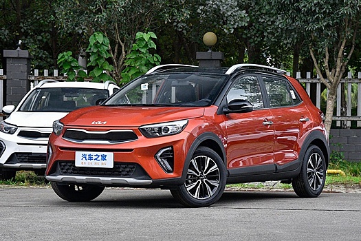 В России по параимпорту возобновили продажи Kia KX1