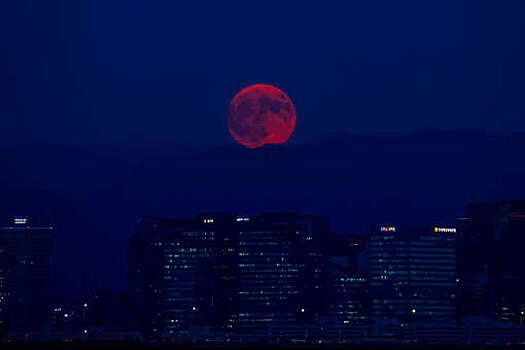 "Рёнхап": Южная Корея хочет участия представителей бизнеса США в саммите АПЕК