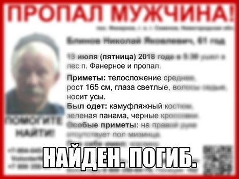 Пропавший нижегородец Николай Блинов найден погибшим