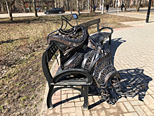Вандалы вновь обезглавили скульптуру княгини в Гатчине