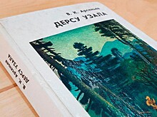 11 хабаровских писателей претендуют на премию в 500 тысяч рублей