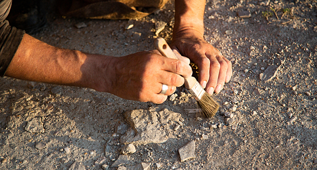 В Дании нашли клад, в котором богатство было уничтожено сознательно
