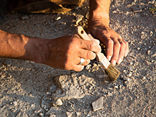 В Дании нашли клад, в котором богатство было уничтожено сознательно