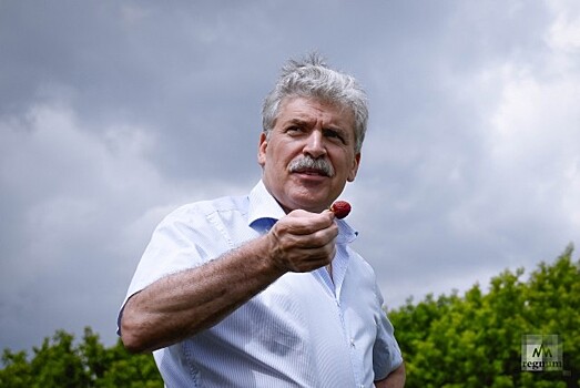 Адвокат: Грудинин вновь пытается обмануть граждан