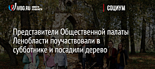 Представители Общественной палаты Ленобласти поучаствовали в субботнике и посадили дерево