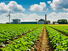 В Мордовиястате проанализировали развитие сельского хозяйства в республике