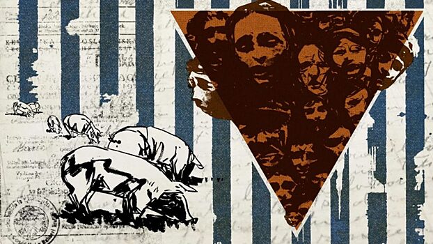 CNN: в Чехии снесли свиноферму, находившуюся на месте лагеря смерти для цыган в 40-е годы