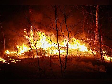 Лесной пожар в районе Забайкалья обернулся уголовным делом