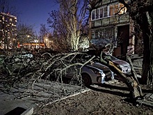 На припаркованный автомобиль в центре Екатеринбурга упал снег