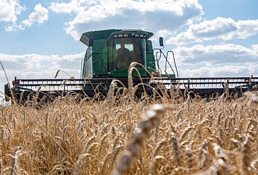 Виталий Хоценко рассказал о начале уборки озимых в Омской области