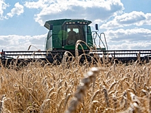 Виталий Хоценко рассказал о начале уборки озимых в Омской области