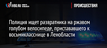 Полиция ищет развратника на ржавом голубом велосипеде, пристававшего к восьмикласснице в Ленобласти