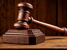 В Кемерове вынесли приговор мужчине, укусившего полицейского