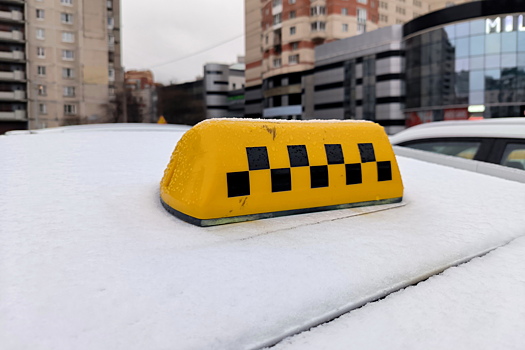 В Электростали таксист получил 15 лет колонии за расправу над пассажиркой