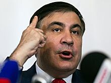 Саакашвили призвал сократить Раду
