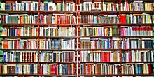 «BOOK-LOVERS»: орловцы продегустируют книги и прочтут стихи поэтов-юбиляров