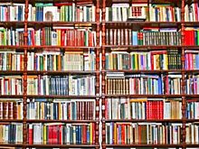 «BOOK-LOVERS»: орловцы продегустируют книги и прочтут стихи поэтов-юбиляров