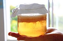 Американские ученые вырастили фильтр для воды из чайного гриба: Новости ➕1, 20.01.2022