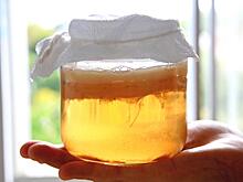 Американские ученые вырастили фильтр для воды из чайного гриба: Новости ➕1, 20.01.2022