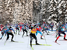 Фотовыставка «Великие в спорте — простые в жизни» откроется в Челябинске