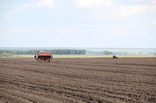Аграрии Приморья вышли в поля
