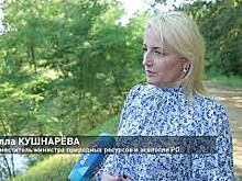 В рамках регионального проекта &laquo;Оздоровление реки Темерник&raquo; Министерство природных ресурсов и экологии Ростовской области провело очередной рейд водоохранной зоны
