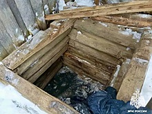 В Тверской области женщина упала в колодец — спасатели выехали на место