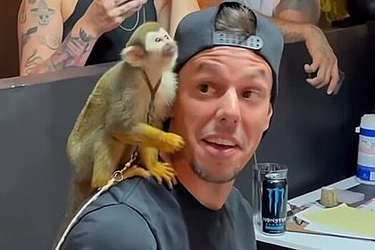 Обезьяна научилась пользоваться машинкой и набила татуировку мужчине