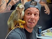 Обезьяна научилась пользоваться машинкой и набила татуировку мужчине