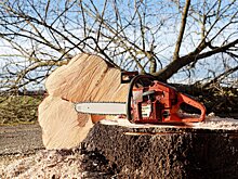 В Новосибирске началось благоустройство Вокзальной магистрали