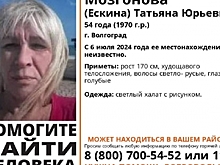 В Новосибирской области пропала 40-летняя женщина в чёрном платье и босоножках