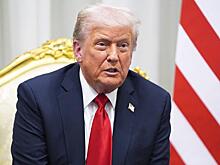 Трамп не учитывает главного: Россия – не Сектор Газа, Путин – не Нетаньяху, Украина - не Израиль