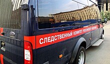 Мать московской девочки-маугли планировала изуверское убийство