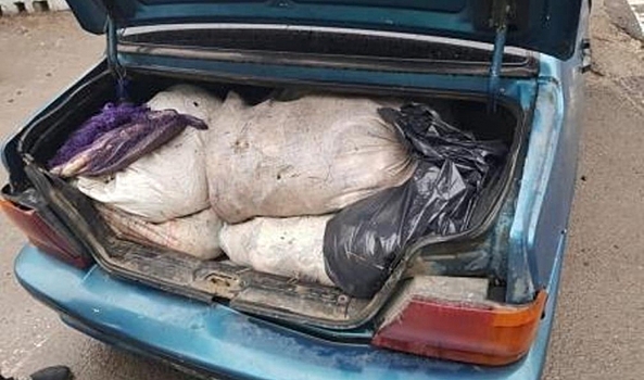 В Волгограде задержали водителя, подозреваемого в браконьерстве