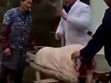 Учитель в Китае демонстративно разделал свинью перед детьми